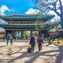 금촌전통시장 이미지