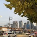 굴다리소곱창 네이버블로그