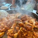 한밝한의원 이미지