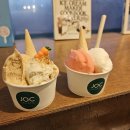 중앙로88번길 | 춘천 명동 매장에서 직접 연구하고 만드는 젤라또 맛집 "JOC젤라또" 내돈내산 후기