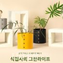 (봄맞이) 홈가드닝 이미지