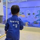 행복한 농부의집 다올 | 한화리조트 용인 베잔송 재깍섬 도시농부 오감 위드맘 이용 후기