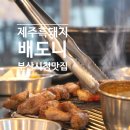 아라한방도야지생삼겹살 | 부산시청 고기 추천 삼겹살 배도니