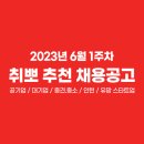 📍 6월 1주차 취뽀 추천 채용공고 (🖤공기업/대기업/중견·중소/인턴/스타트업) 이미지