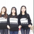 용감한자매들