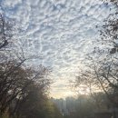 씨유 연수사랑가득점 | 요즘 일상