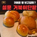 거북이 빵집 | 신상 일산 빵집 추천, 설문동 대형 카페 거북이단팥 후기