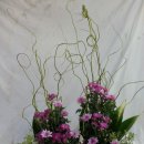 대부영광교회 이미지