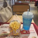 GR(진도군)-[십일시길]-상-7 | 08.15~08.21 주간 일기📖