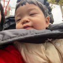 아라공원 | 경남 사천 아기와 함께 아라마루 동물원, 아쿠아리움 방문 후기