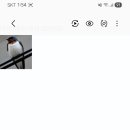 파파스라이어 이미지