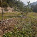 내척농장 이미지