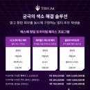 에스떼청담