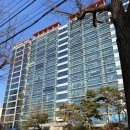 백스키친 이미지