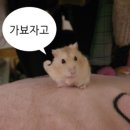 휴앤락몰 | 🤍W-1🤍 김해 웨딩홀 비교 (jw, 아이스퀘어, w더파티, 메르시앙)