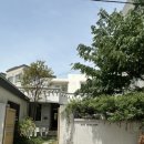 [광주] 동명동 분위기 있는 카페 ‘호시정‘