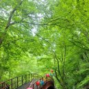 희방지원탐방센터 화장실 이미지