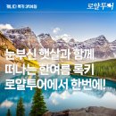 [로얄투어]로얄투어와 함께 떠나는 ✨록키 3박 4일✨ 여행 🧳 2025 모레인 레이크 입장 퍼밋 보유!! 🌄☕️ 이미지