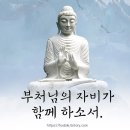 대정-7 네이버블로그