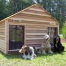 강아지집 이미지