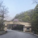 한촌순대국