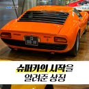 카스토리 이미지
