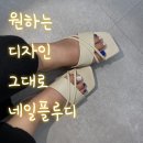 플루디 이미지