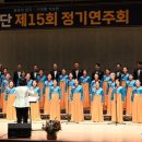 제15회 정기연주회 이미지