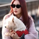 박치형 | 가석방심사관 이한신 ott 몇부작 인물관계도 1화에 패를 시원하게 까버려서 멋있음