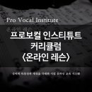 프로보컬인스티튜트 이미지