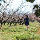 매향농장 이미지