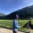 단양군 농업기술센터 이미지