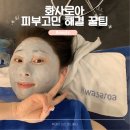 미커넥트 1인 PT샵 | 안성 피부관리 화사로아 에스테틱 고민해결