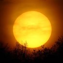 둥실둥실 이미지