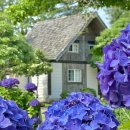 구엄리조트 이미지