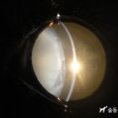 24시 대전동물의료센터 이미지