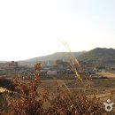 달고개모시마을 이미지