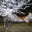 자유수호평화박물관 이미지