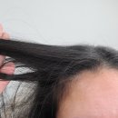 안녕맥주 | 맥주효모 탈모에 좋다길래 3개월 써보고 솔직 후기 적어봐요