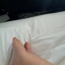 레오오토1 | 홍대 아기랑 반려견 동반 호텔 라이즈호텔 에디터룸 룸서비스/조식 이용후기 중대형견 가능