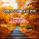 우면산식당 | 지인옥 작가와 함께 우면산 무장애 숲길 걷기 – 자연 속에서 나를 되새기는 시간