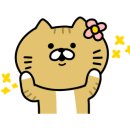 모라동물병원 이미지