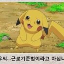 만타스시31 이미지