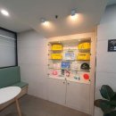 돌핀수영 이미지