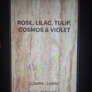 코스모스호텔연회장 이미지