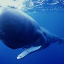 (주)포유테크 이미지