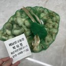 해남샘물농장 햇마늘 후기, 땅끝마을에서 자란 홍산마늘 해남마늘