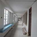 원주교동초등학교 이미지