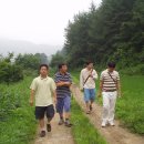 산울림 이미지