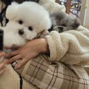 멍무이 쌀롱 이미지